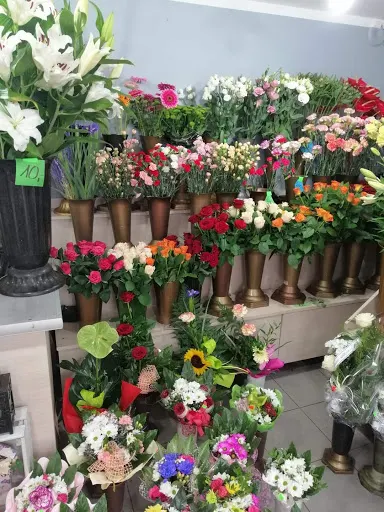 Kwiaciarnia KwiatyRenaty